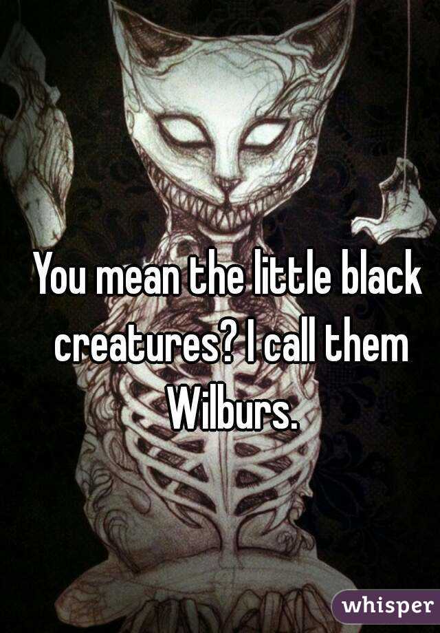 You mean the little black creatures? I call them Wilburs.