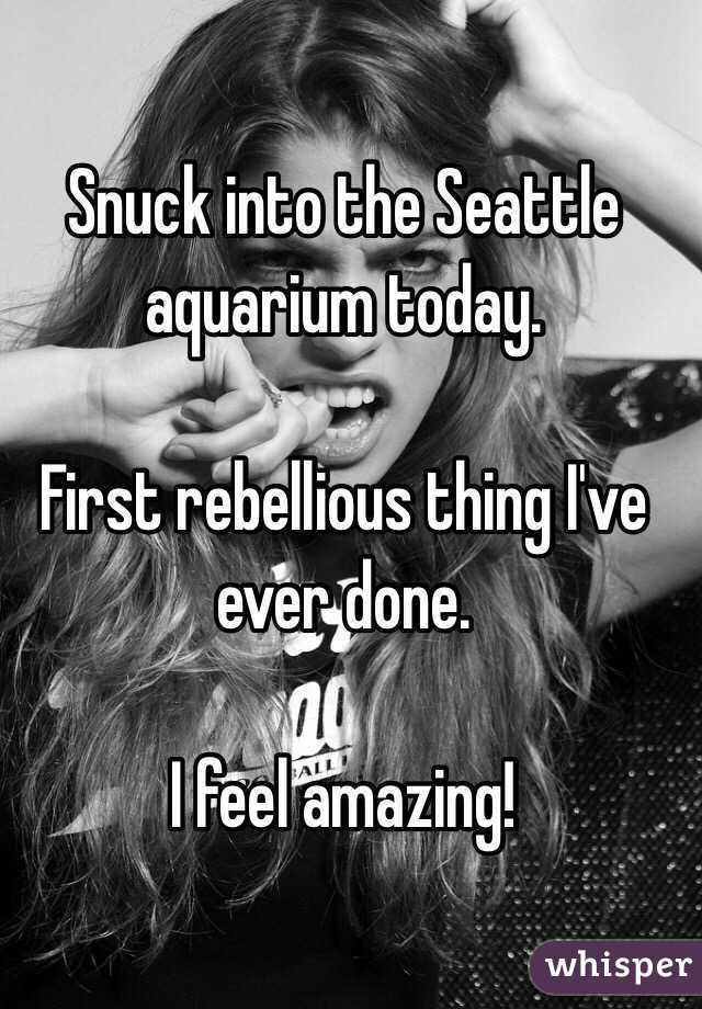 Snuck into the Seattle aquarium today.

First rebellious thing I've ever done.

I feel amazing!