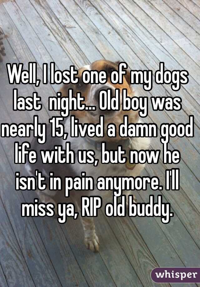 Well, I lost one of my dogs last  night... Old boy was nearly 15, lived a damn good life with us, but now he isn't in pain anymore. I'll miss ya, RIP old buddy.