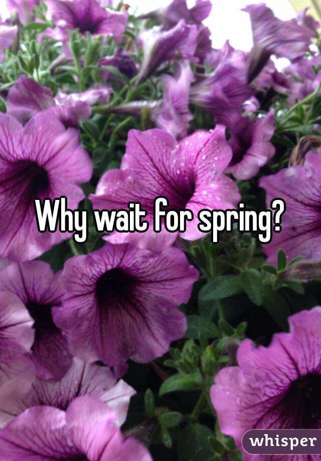 Why wait for spring?