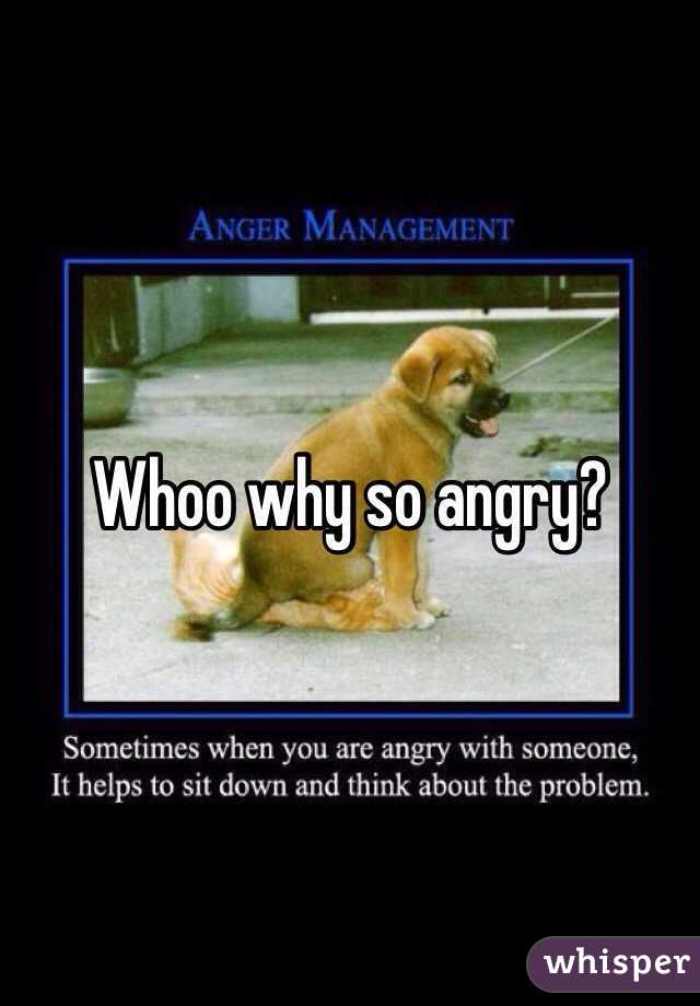 Whoo why so angry? 