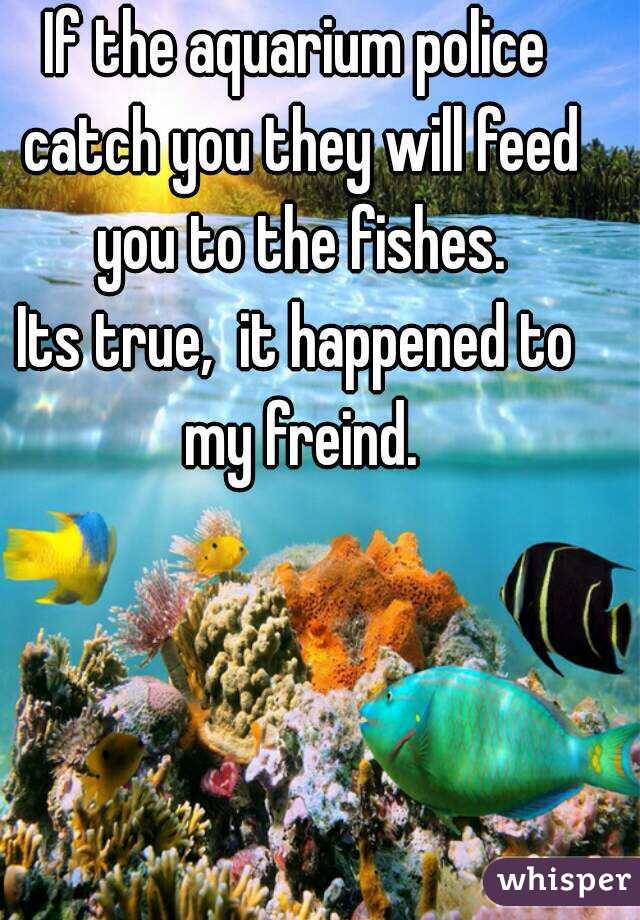If the aquarium police catch you they will feed you to the fishes.
Its true,  it happened to my freind.