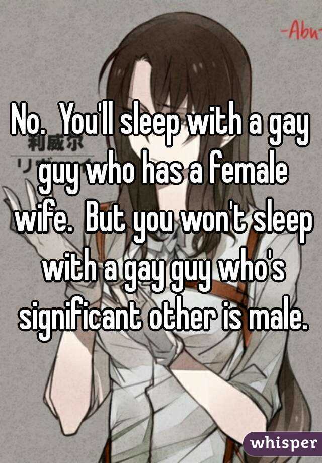 No.  You'll sleep with a gay guy who has a female wife.  But you won't sleep with a gay guy who's significant other is male.