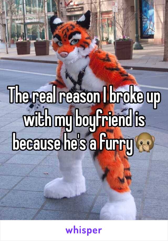 The real reason I broke up with my boyfriend is because he's a furry