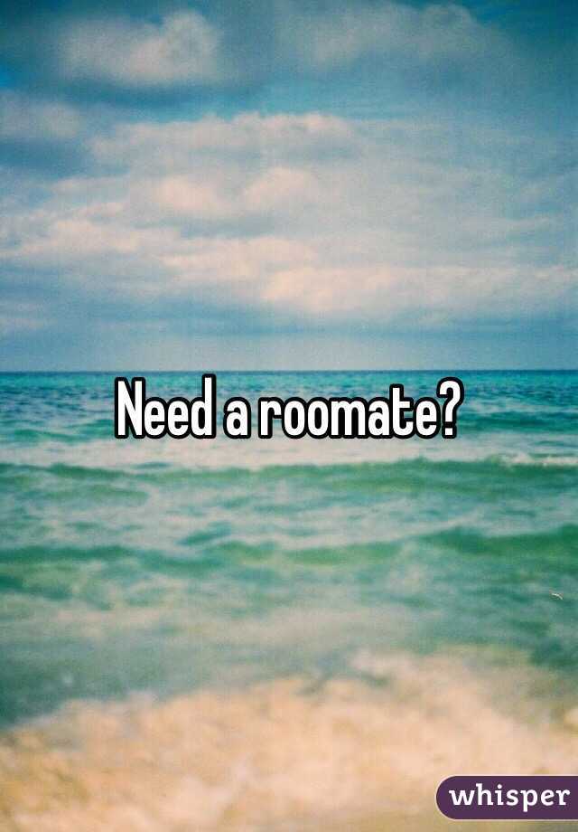 Need a roomate?
