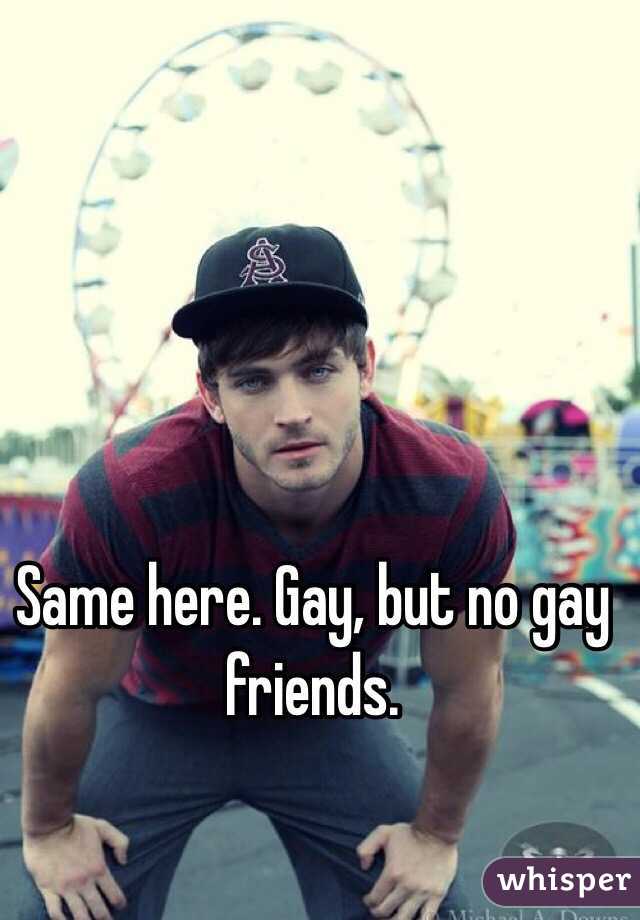 Same here. Gay, but no gay friends. 