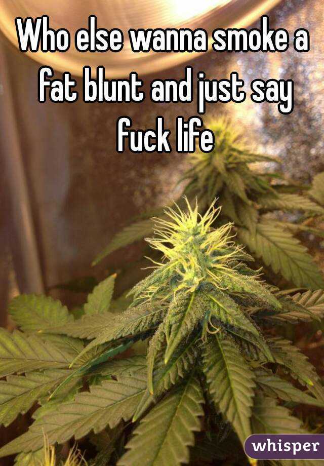 Who else wanna smoke a fat blunt and just say fuck life