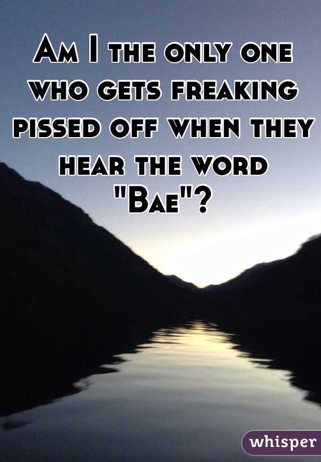 Am I the only one who gets freaking pissed off when they hear the word 
"Bae"?