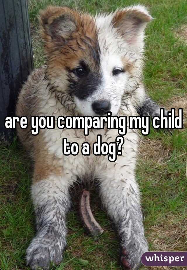are you comparing my child to a dog?