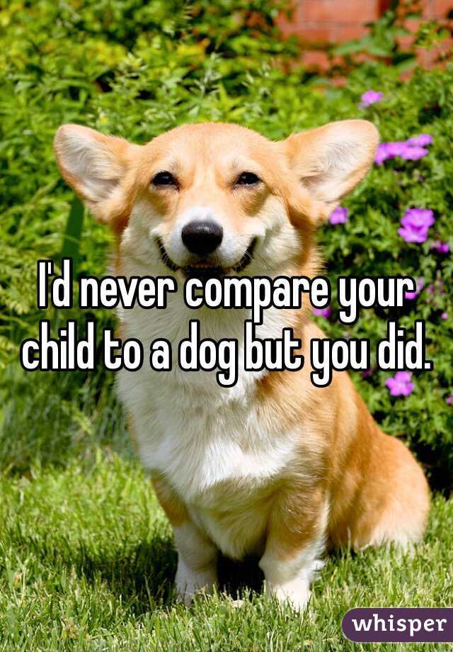 I'd never compare your child to a dog but you did.
