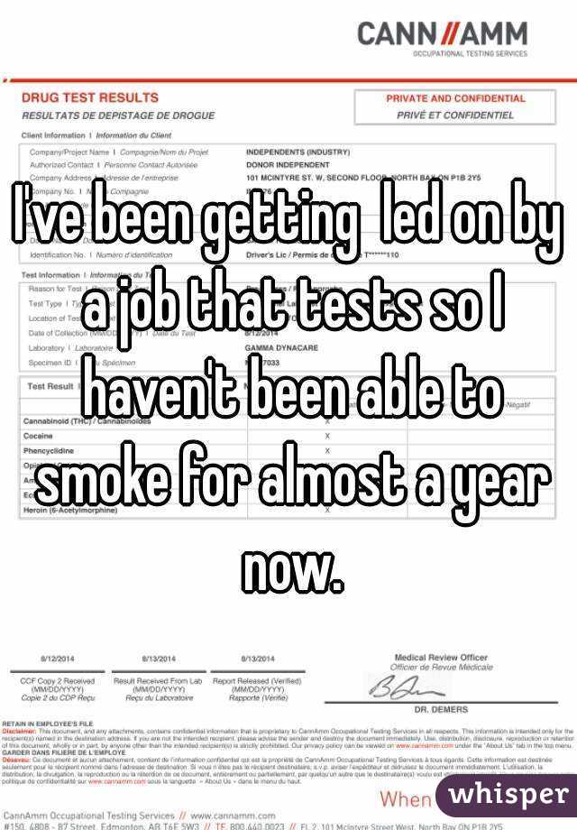 I've been getting  led on by a job that tests so I haven't been able to smoke for almost a year now.