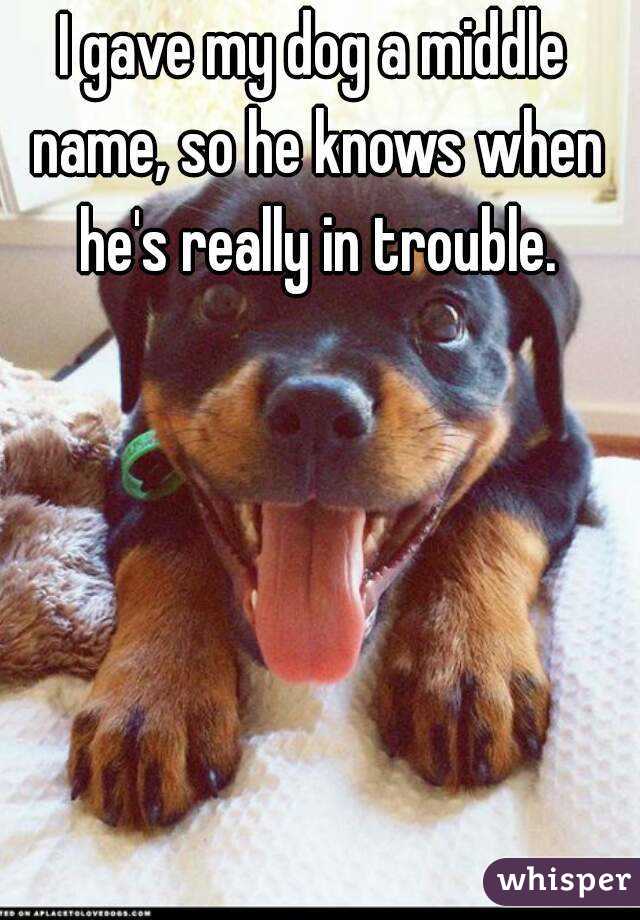 I gave my dog a middle name, so he knows when he's really in trouble.