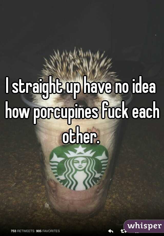 I straight up have no idea how porcupines fuck each other. 