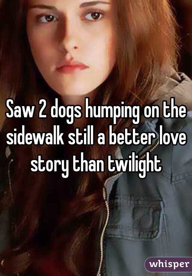 Saw 2 dogs humping on the sidewalk still a better love story than twilight 