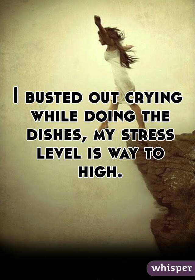 I busted out crying while doing the dishes, my stress level is way to high.