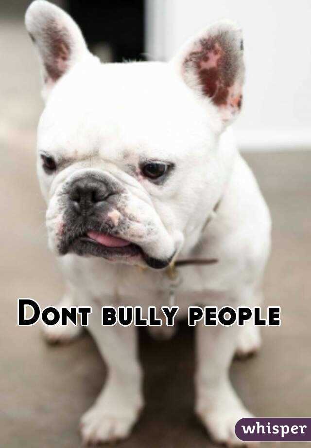 Dont bully people