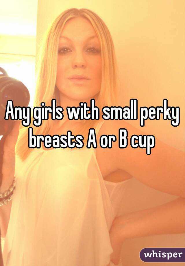 Any girls with small perky breasts A or B cup 