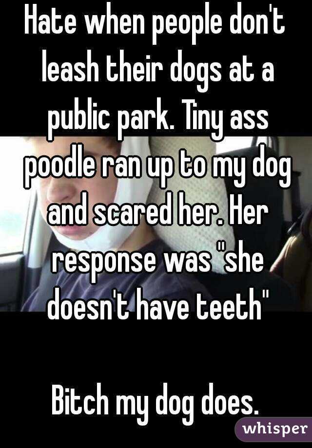 Hate when people don't leash their dogs at a public park. Tiny ass poodle ran up to my dog and scared her. Her response was "she doesn't have teeth"

Bitch my dog does.