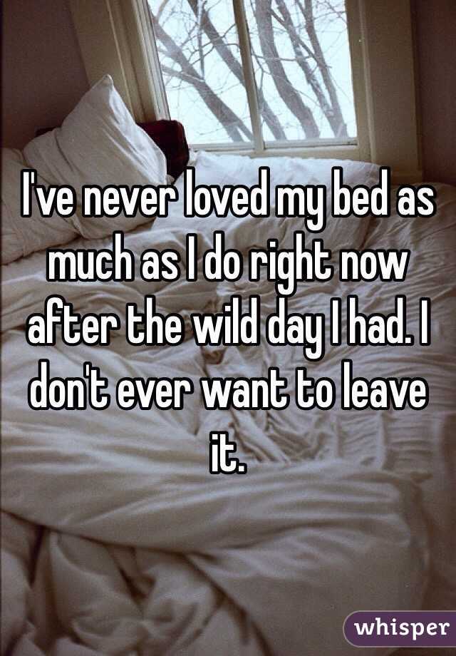 I've never loved my bed as much as I do right now after the wild day I had. I don't ever want to leave it. 