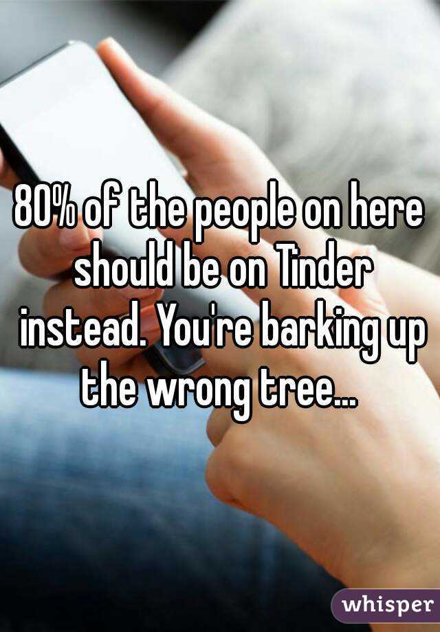 80% of the people on here should be on Tinder instead. You're barking up the wrong tree... 