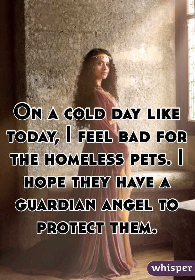 On a cold day like today, I feel bad for the homeless pets. I hope they have a guardian angel to protect them. 