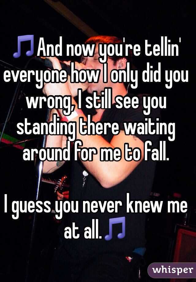 🎵And now you're tellin' everyone how I only did you wrong, I still see you standing there waiting around for me to fall. 

I guess you never knew me at all.🎵