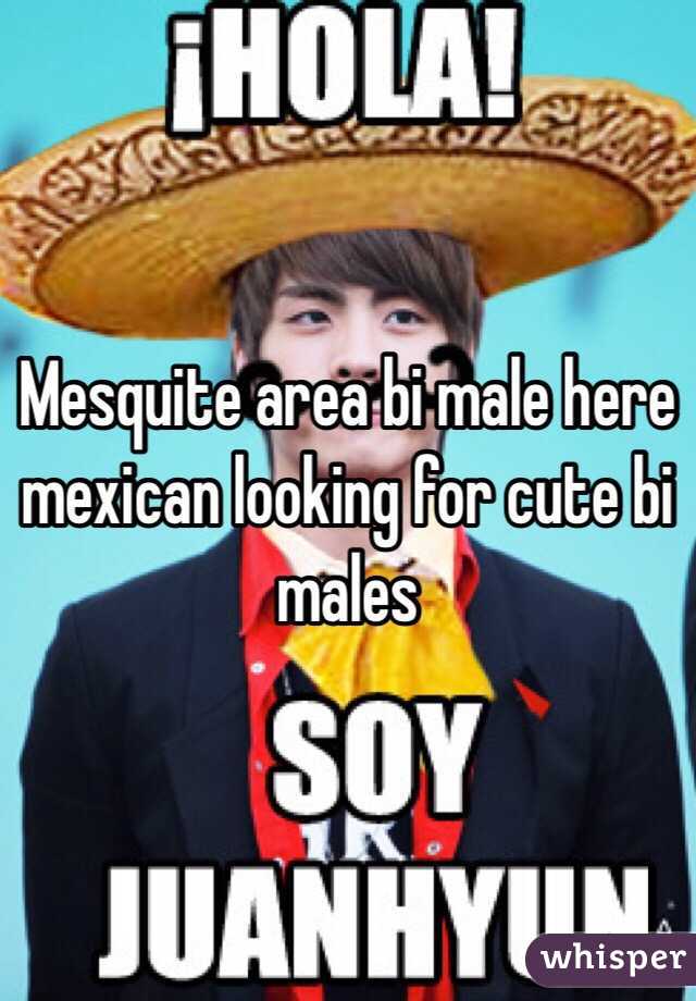 Mesquite area bi male here mexican looking for cute bi males