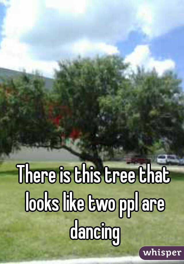 There is this tree that looks like two ppl are dancing