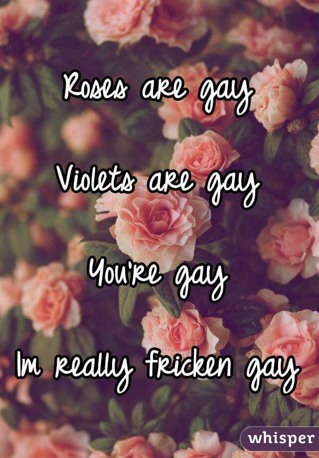 Roses are gay

Violets are gay

You're gay

Im really fricken gay