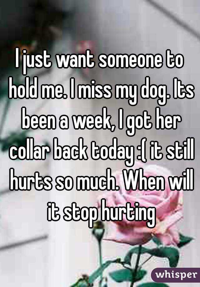 I just want someone to hold me. I miss my dog. Its been a week, I got her collar back today :( it still hurts so much. When will it stop hurting