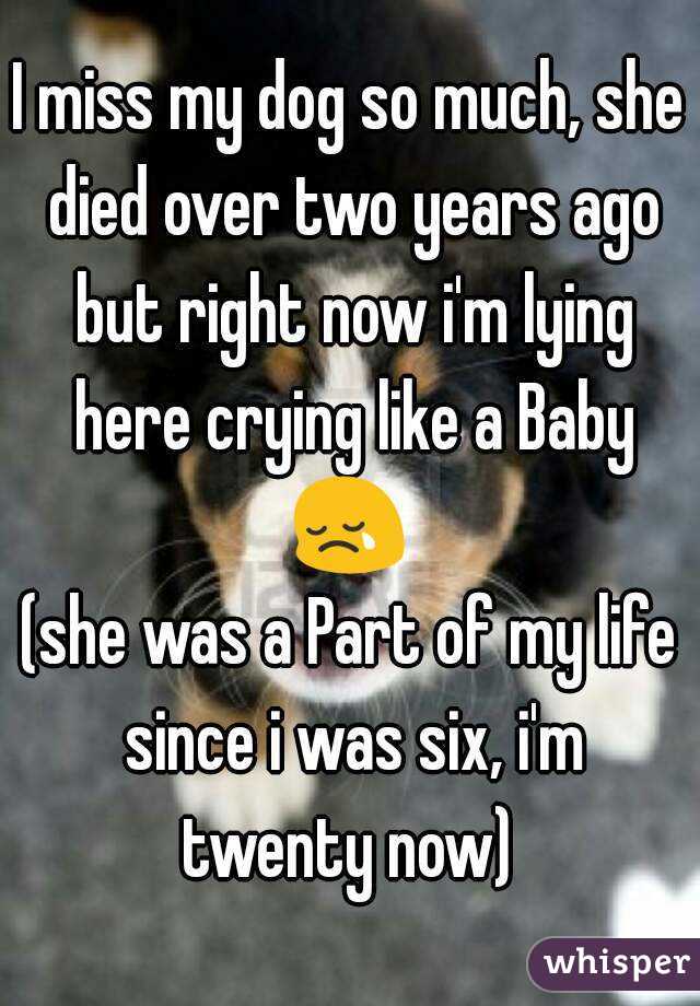 I miss my dog so much, she died over two years ago but right now i'm lying here crying like a Baby 😢 
(she was a Part of my life since i was six, i'm twenty now) 