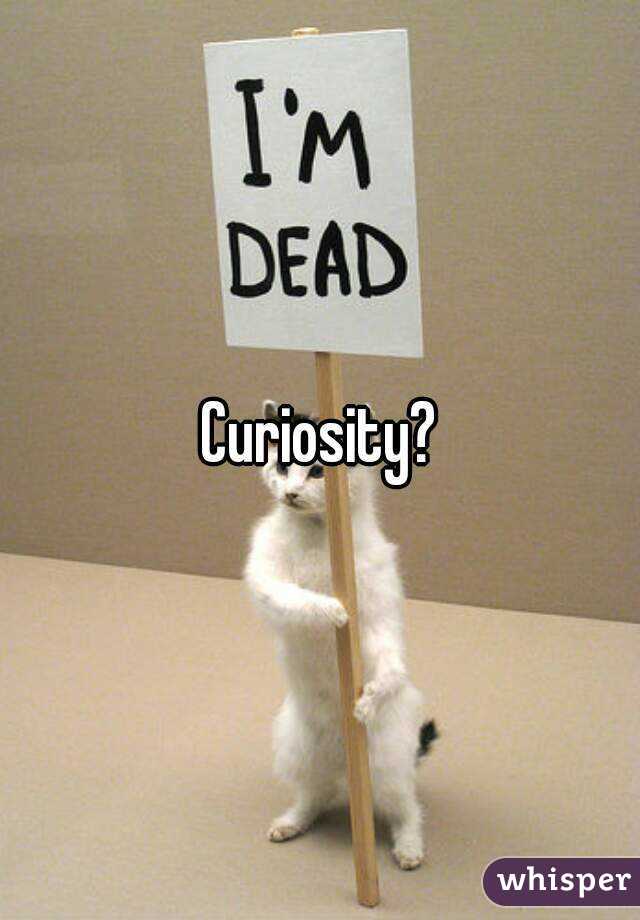 Curiosity?