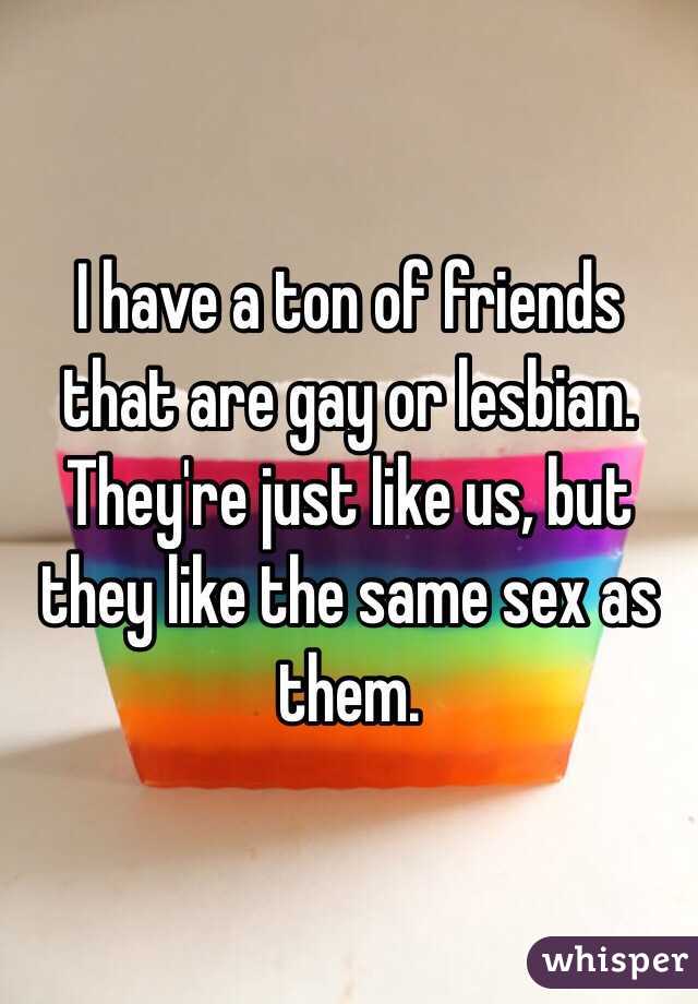 I have a ton of friends that are gay or lesbian. They're just like us, but they like the same sex as them. 