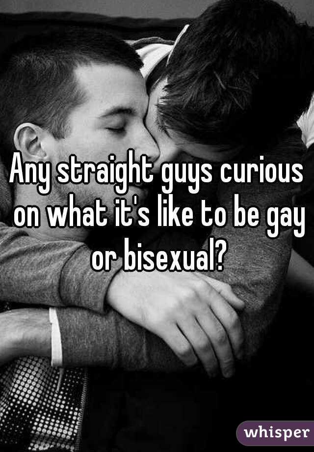 Any straight guys curious on what it's like to be gay or bisexual?