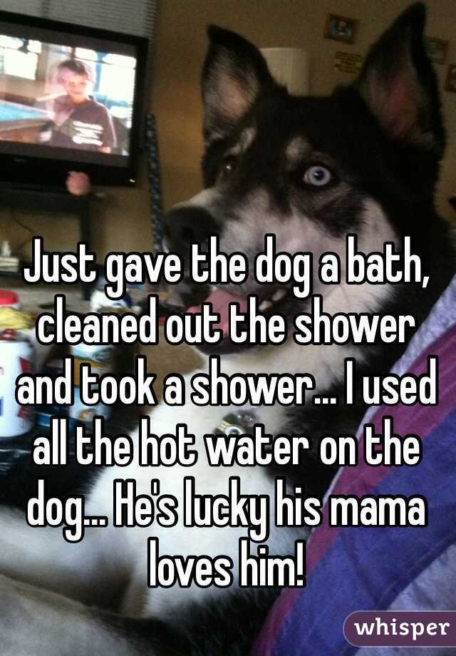 Just gave the dog a bath, cleaned out the shower and took a shower... I used all the hot water on the dog... He's lucky his mama loves him!
