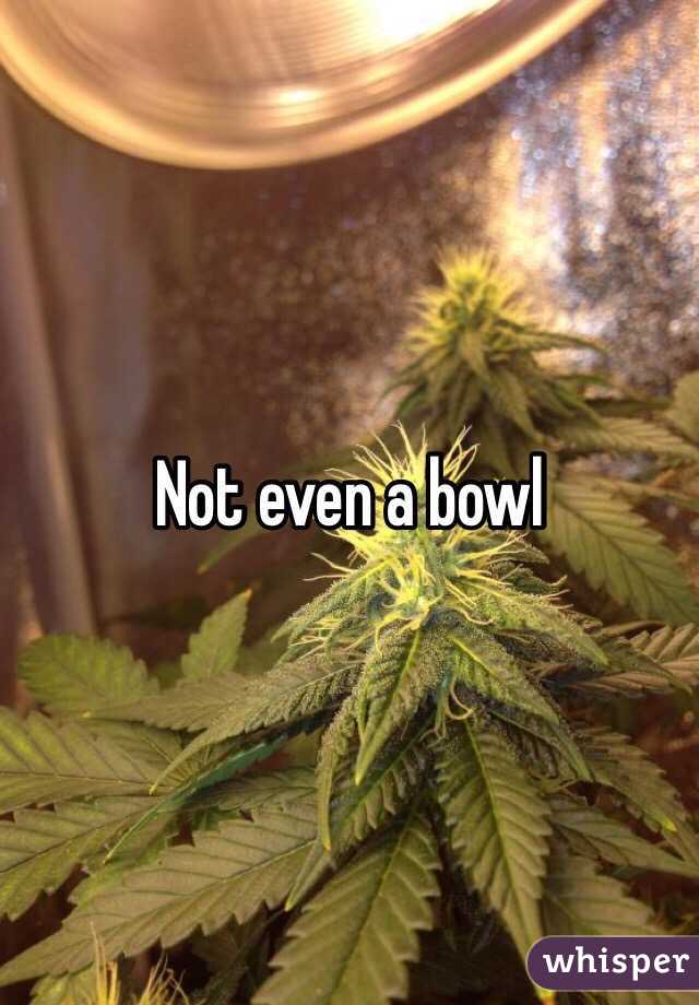 Not even a bowl