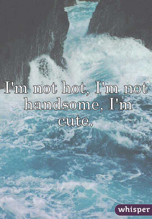 I'm not hot, I'm not handsome, I'm cute. 