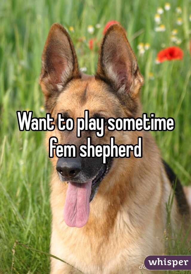 Want to play sometime fem shepherd 
