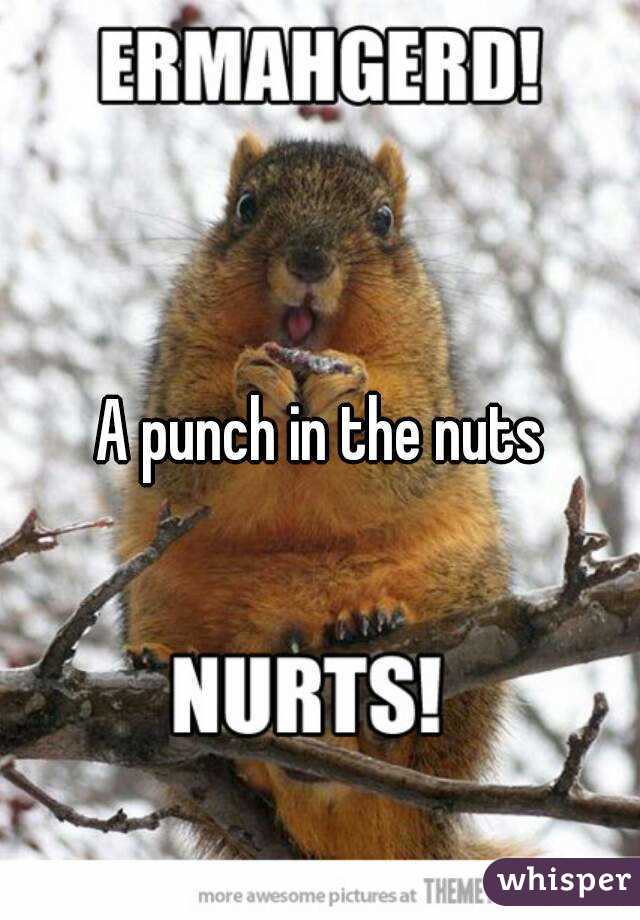 A punch in the nuts