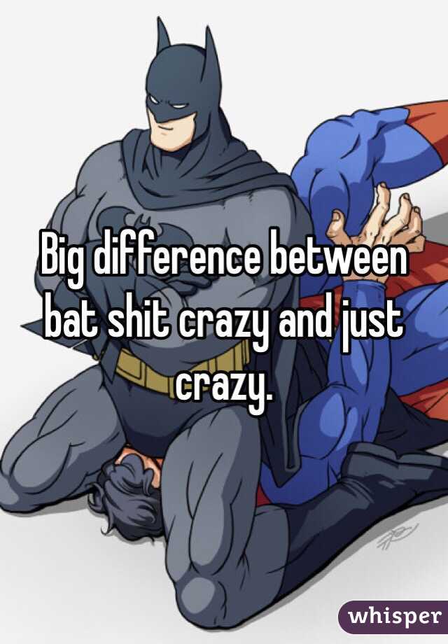 Big difference between bat shit crazy and just crazy. 