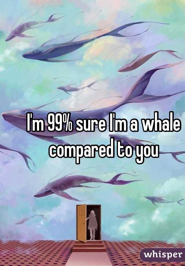 I'm 99% sure I'm a whale compared to you