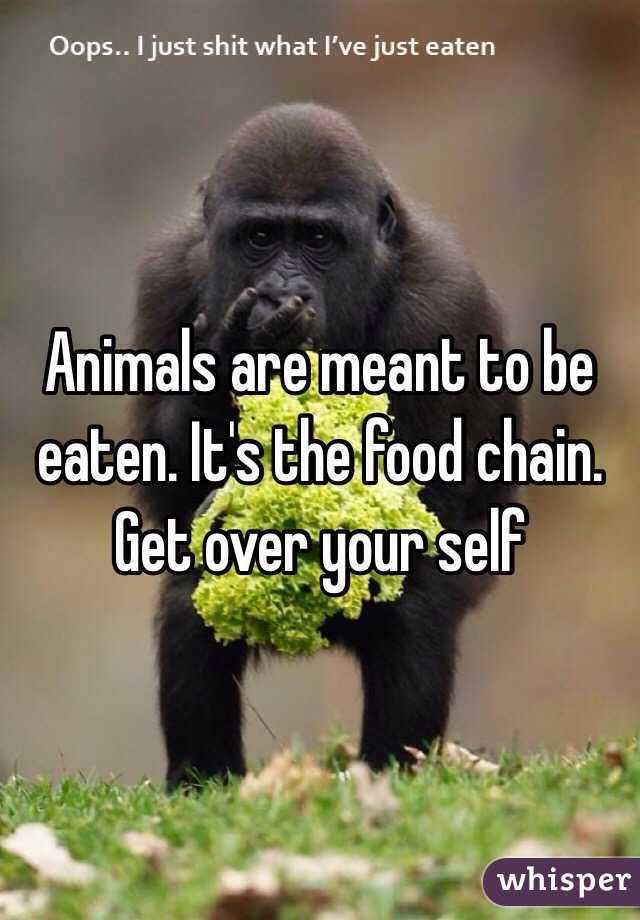 Animals are meant to be eaten. It's the food chain. Get over your self