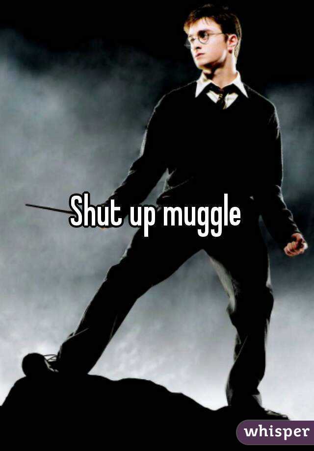 Shut up muggle