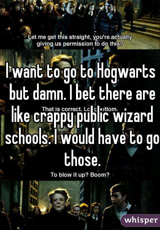 I want to go to Hogwarts but damn. I bet there are like crappy public wizard schools. I would have to go those.