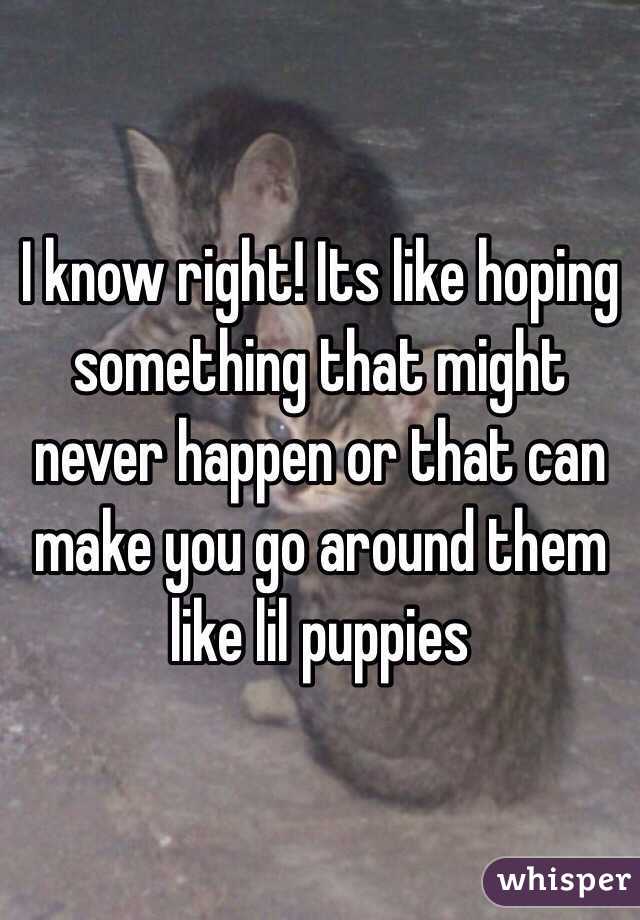 I know right! Its like hoping something that might never happen or that can make you go around them like lil puppies