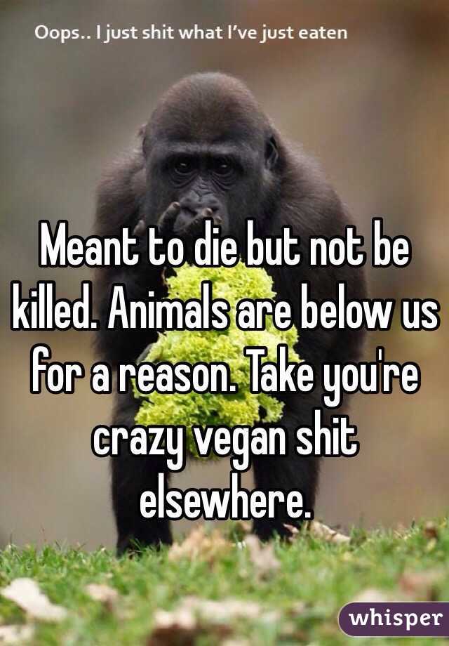 Meant to die but not be killed. Animals are below us for a reason. Take you're crazy vegan shit elsewhere. 