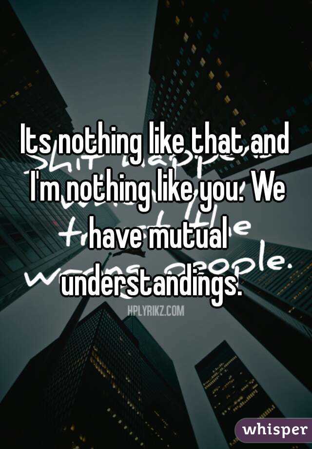 Its nothing like that and I'm nothing like you. We have mutual understandings.  