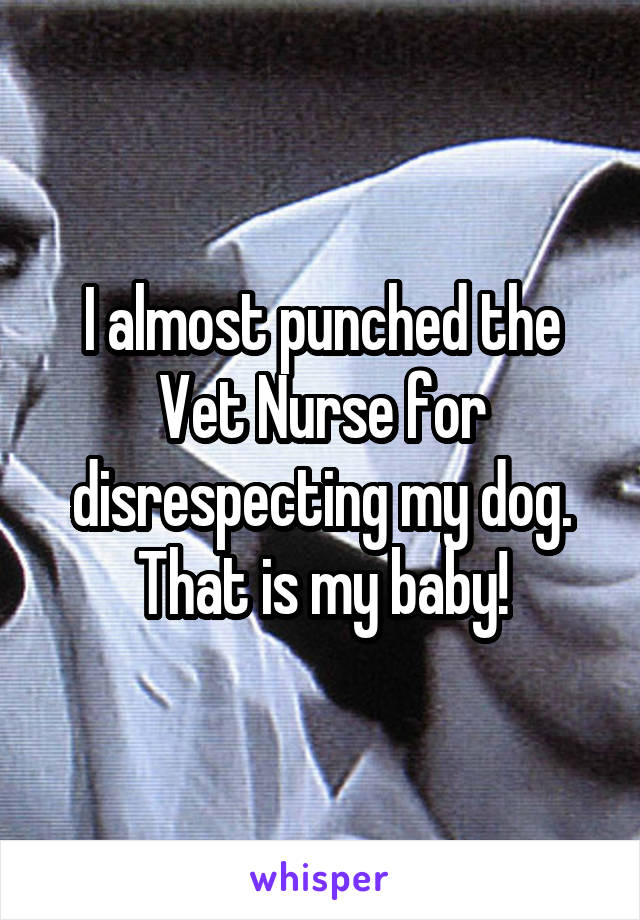 I almost punched the Vet Nurse for disrespecting my dog. That is my baby!