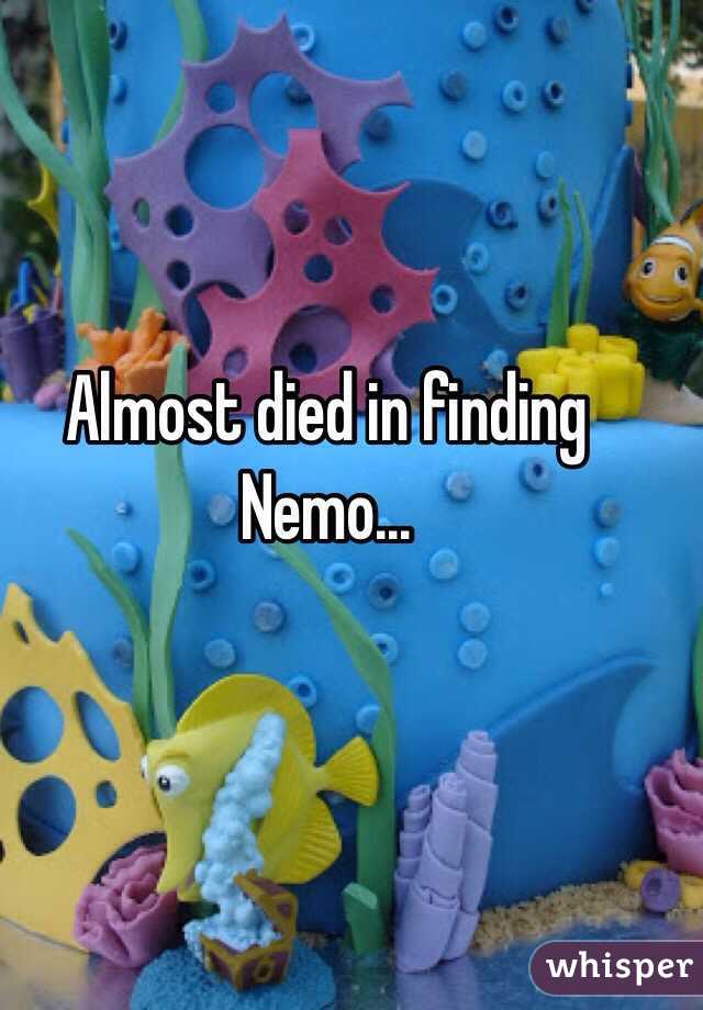 Almost died in finding Nemo...