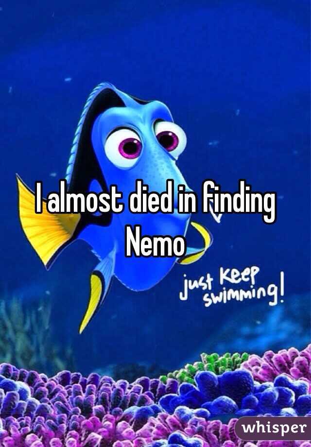 I almost died in finding Nemo